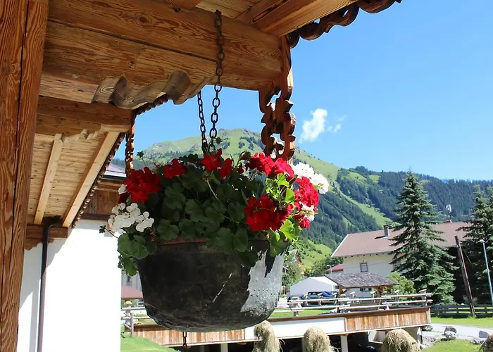 木屋 莱赫度假屋 豪尔兹高