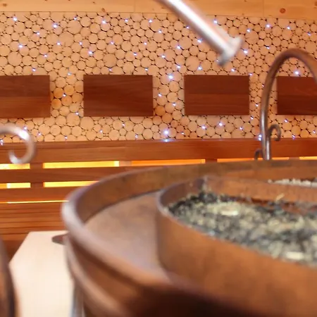 Chaletresort Lech Dağ evi Holzgau